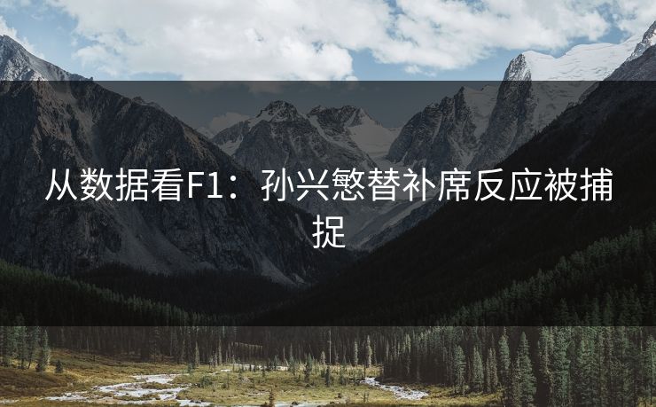 从数据看F1：孙兴慜替补席反应被捕捉